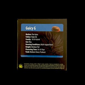 Guicy G