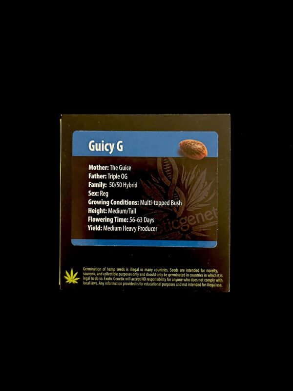 Guicy G