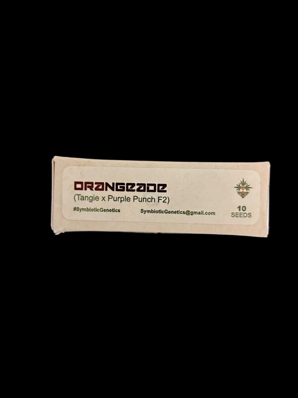 Orangeade - Image 2