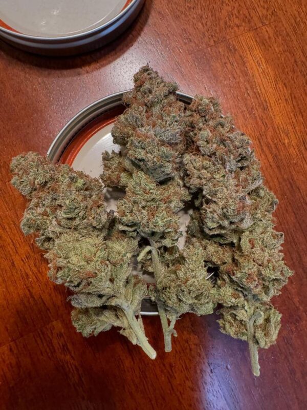 Willie Dog (10 Regular Seeds) - Image 2