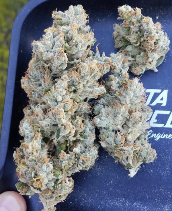 Nughead - Image 3