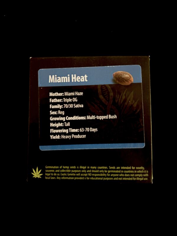 Miami Heat