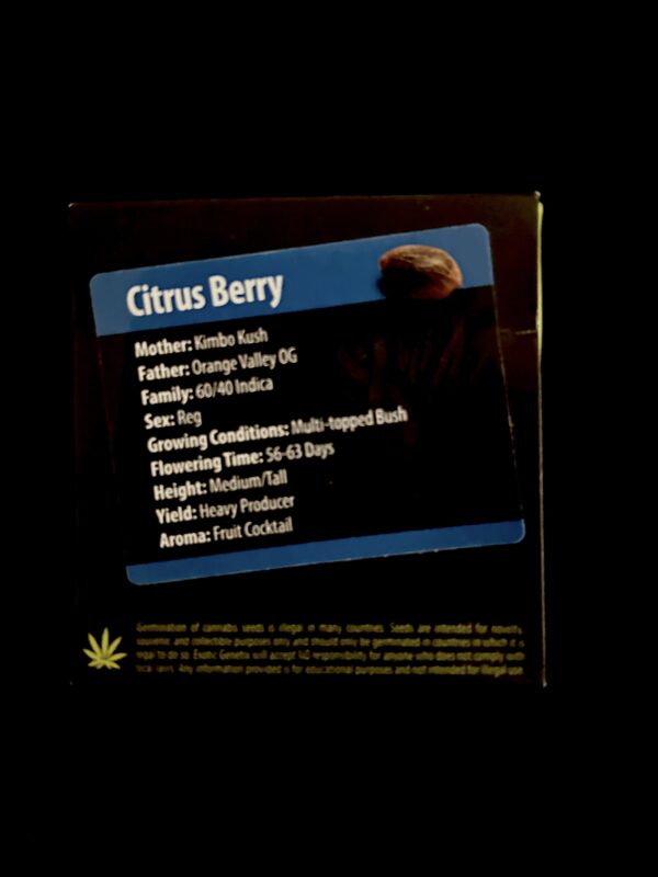 Citrus Berry