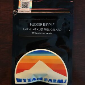 Fudge Ripple