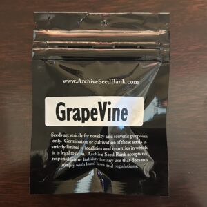 Grape Vine