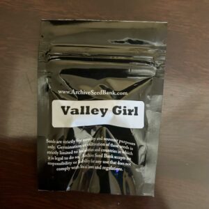 Valley Girl
