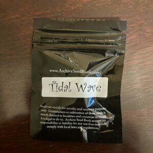 Tidal Wave