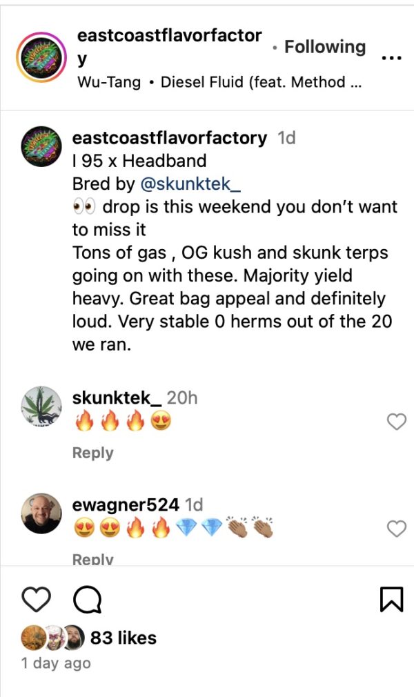 Road Head - Image 10