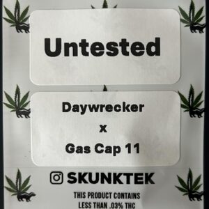 Daywrecker x Gas Cap 11