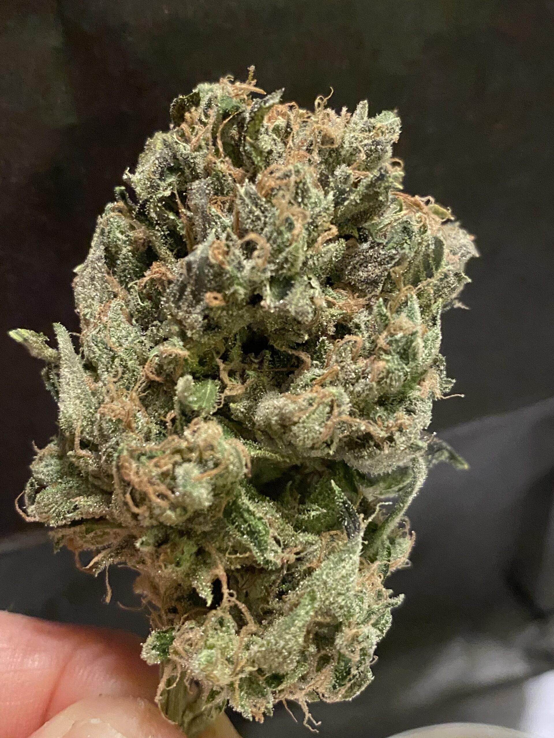 Choke Hold - Image 2