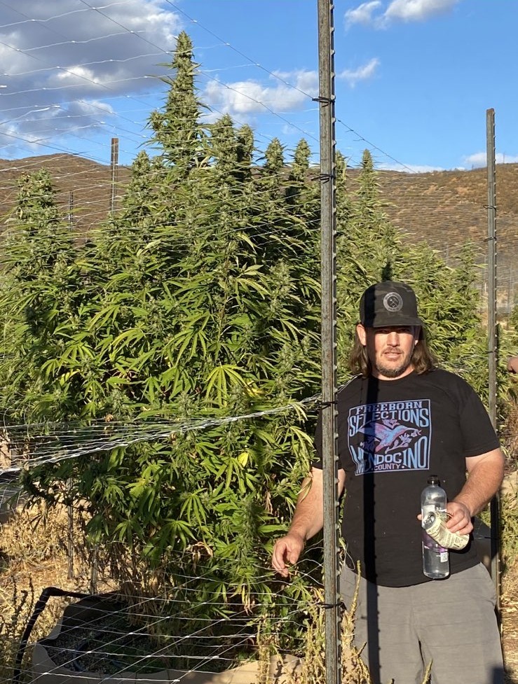 Rootbeer BC3 - Image 4