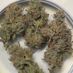 Head Squeeze 14 x 707 Headband